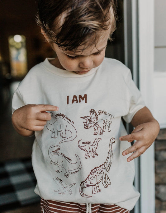 SALE - Dino Affirmation Words For Kids, Christian Shirts For Kids