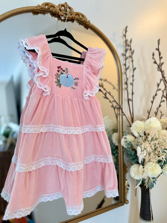 Girls Pink Velvet embroidered pumpkin dress