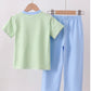 HD26 • Boys St.Patricks day embroidered clover pant set