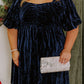 Navy Velvet Plus Size Dress LT