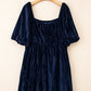 Navy Velvet Plus Size Dress LT